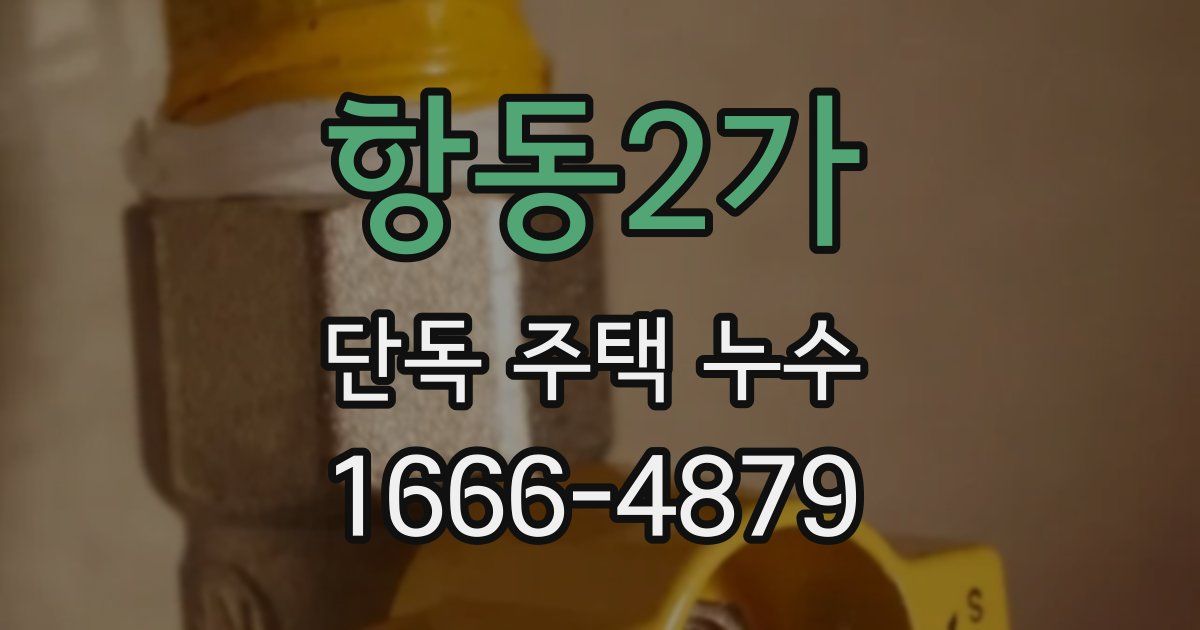 항동2가 단독 주택 누수