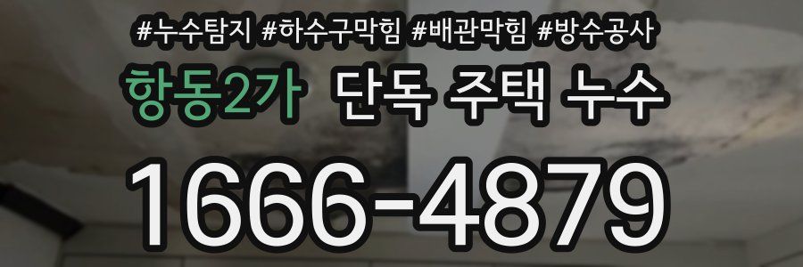 항동2가 단독 주택 누수