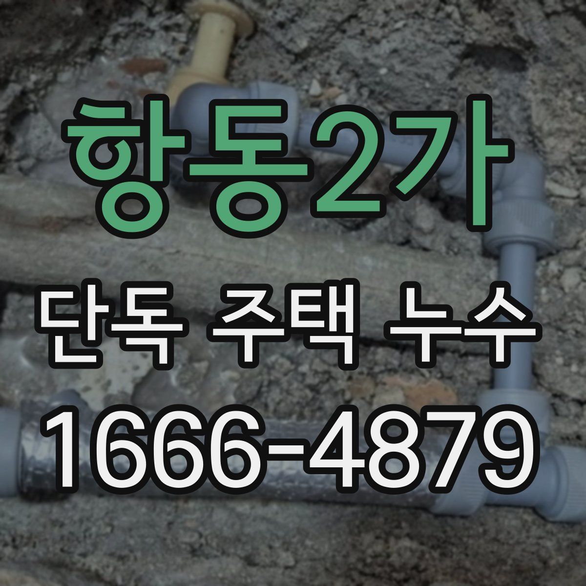 항동2가 단독 주택 누수