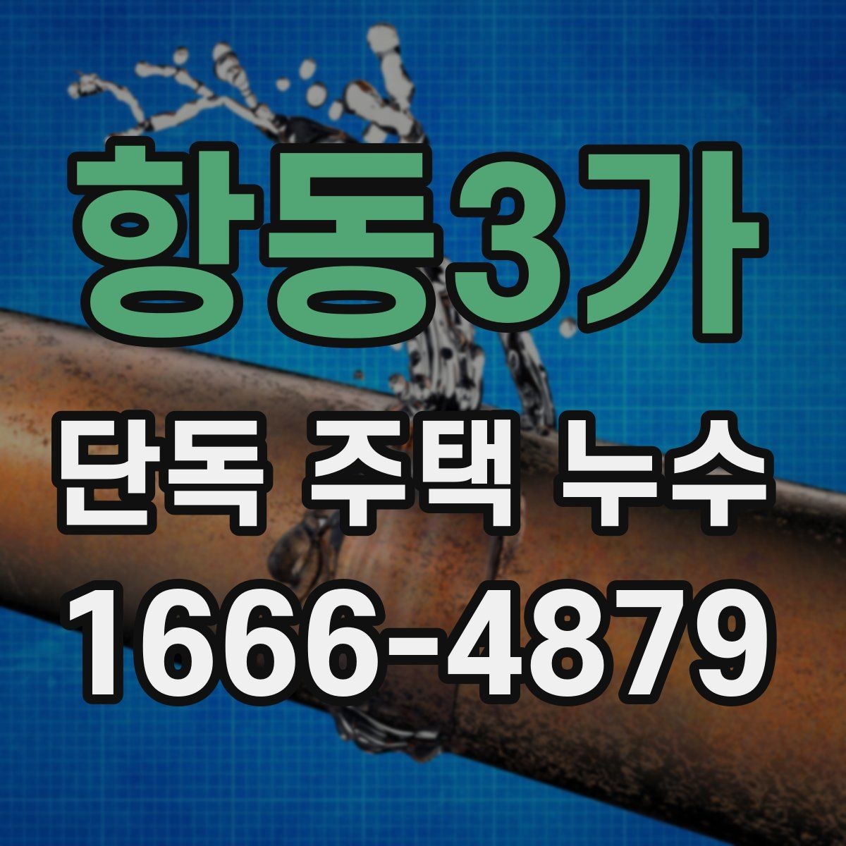 항동3가 단독 주택 누수 벽지 들뜸이 보일 때 점검 대상