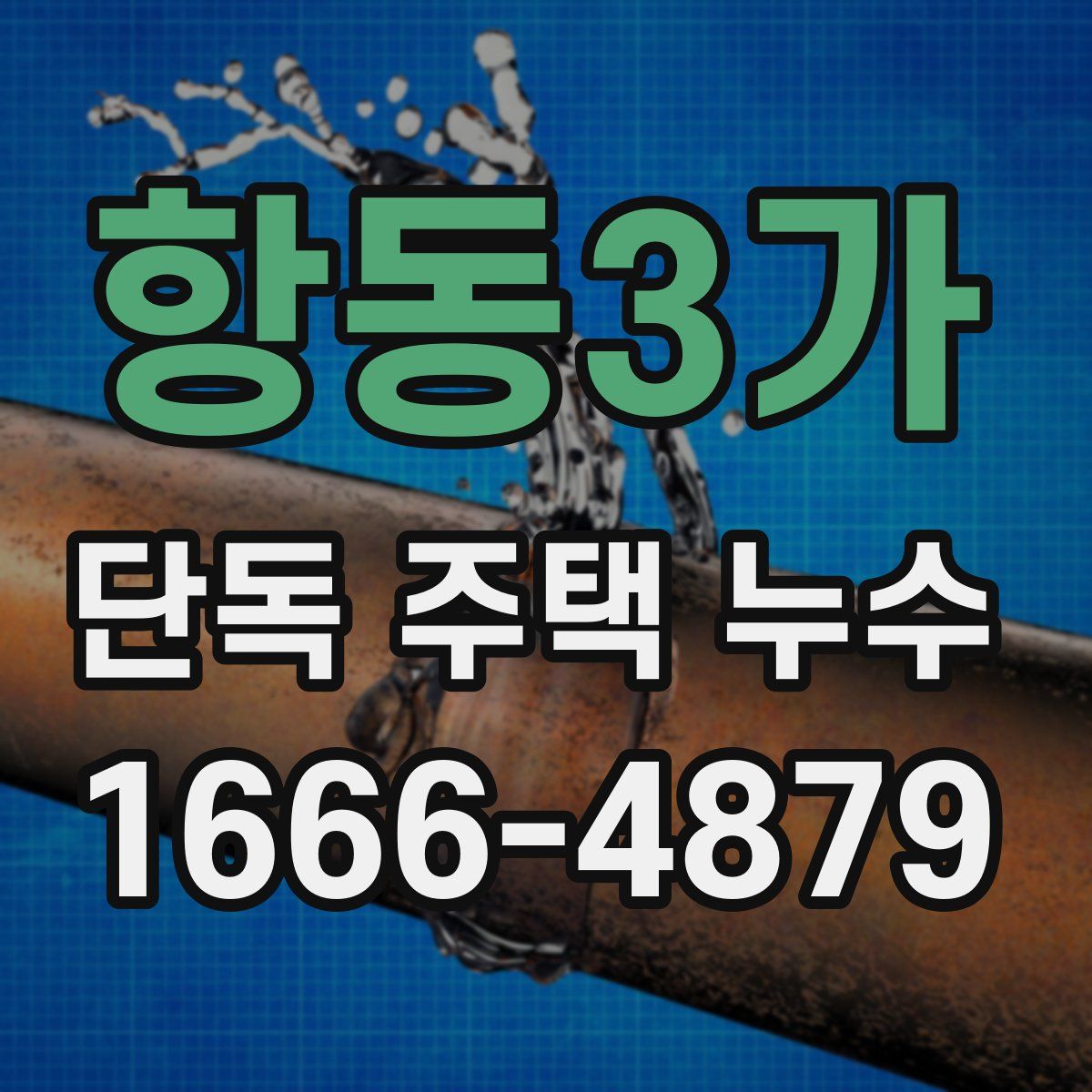 항동3가 단독 주택 누수