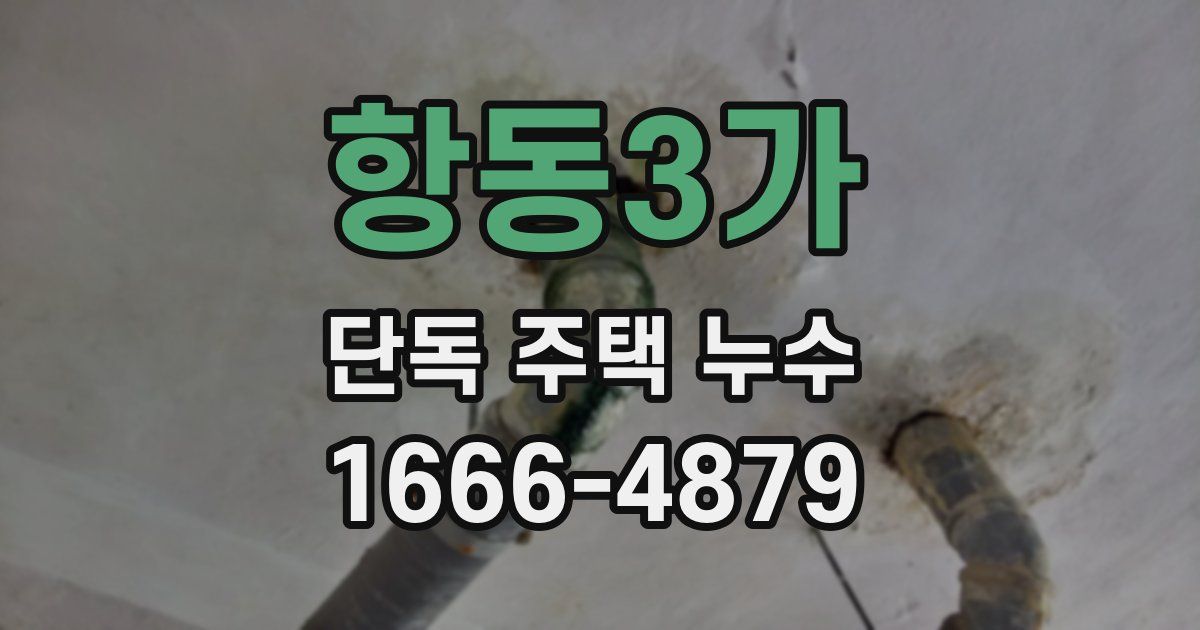 항동3가 단독 주택 누수