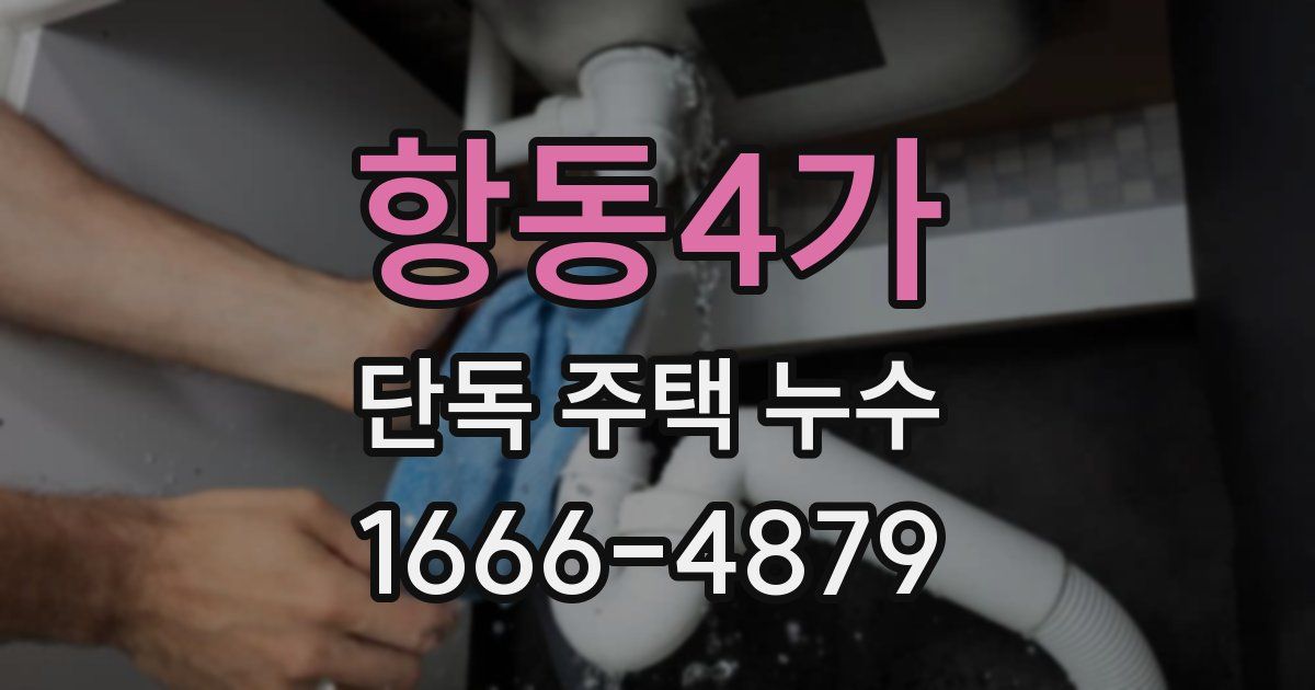 항동4가 단독 주택 누수