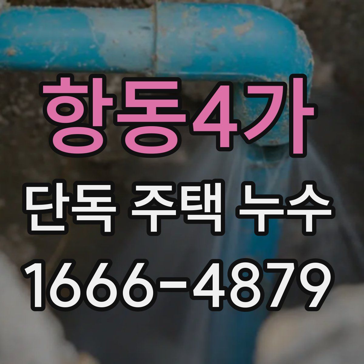 항동4가 단독 주택 누수