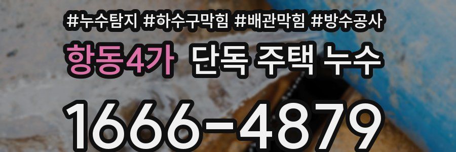 항동4가 단독 주택 누수