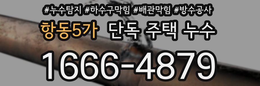 항동5가 단독 주택 누수