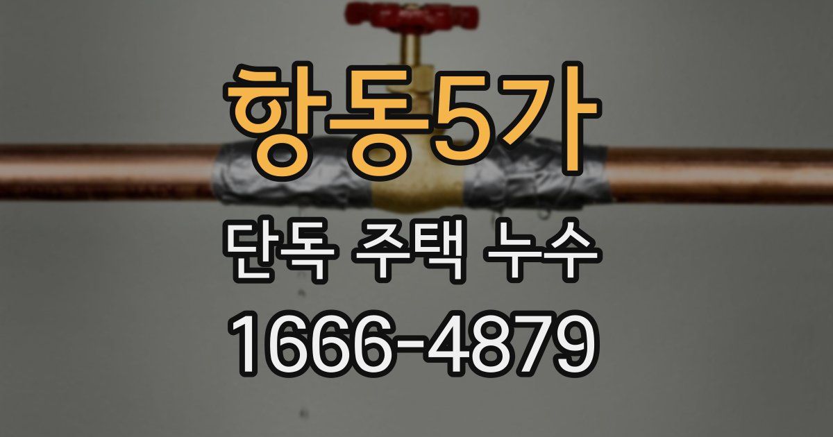 항동5가 단독 주택 누수