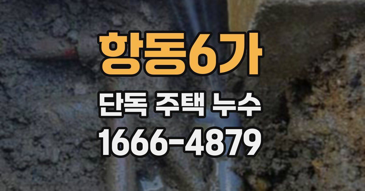 항동6가 단독 주택 누수