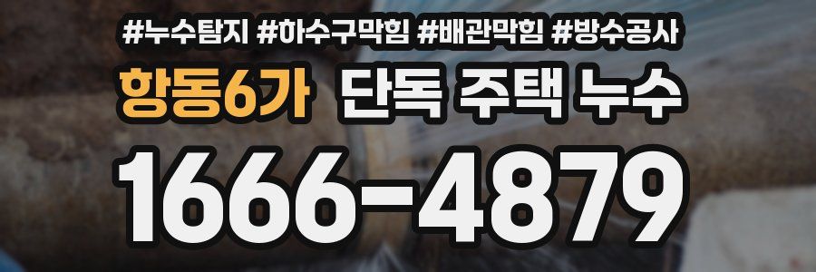 항동6가 단독 주택 누수