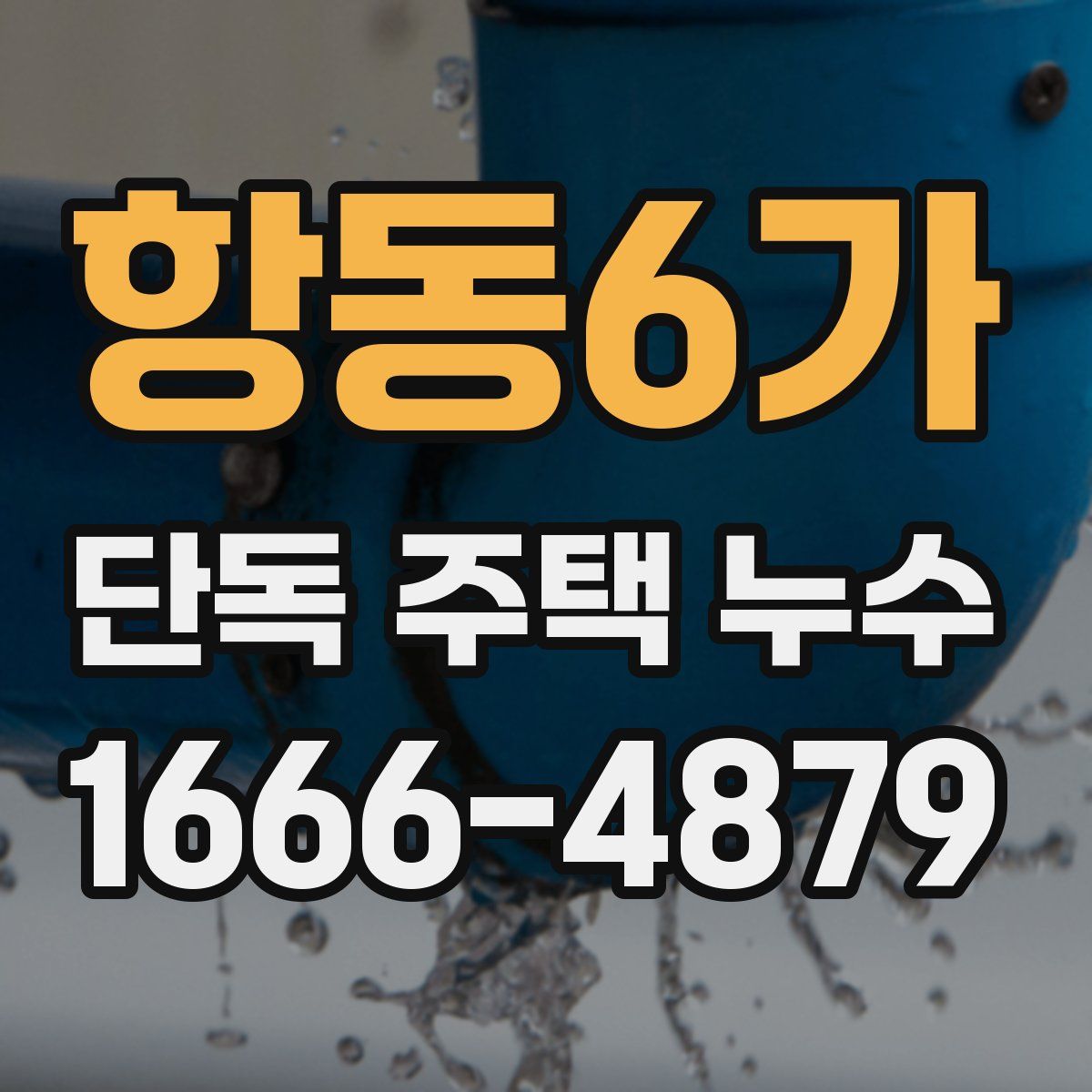 항동6가 단독 주택 누수