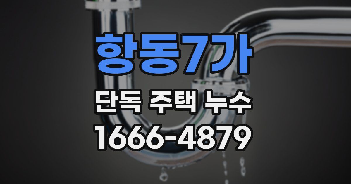 항동7가 단독 주택 누수