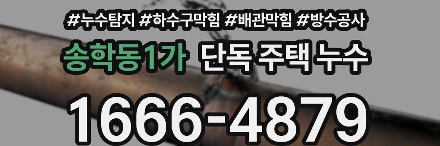 송학동1가 단독 주택 누수