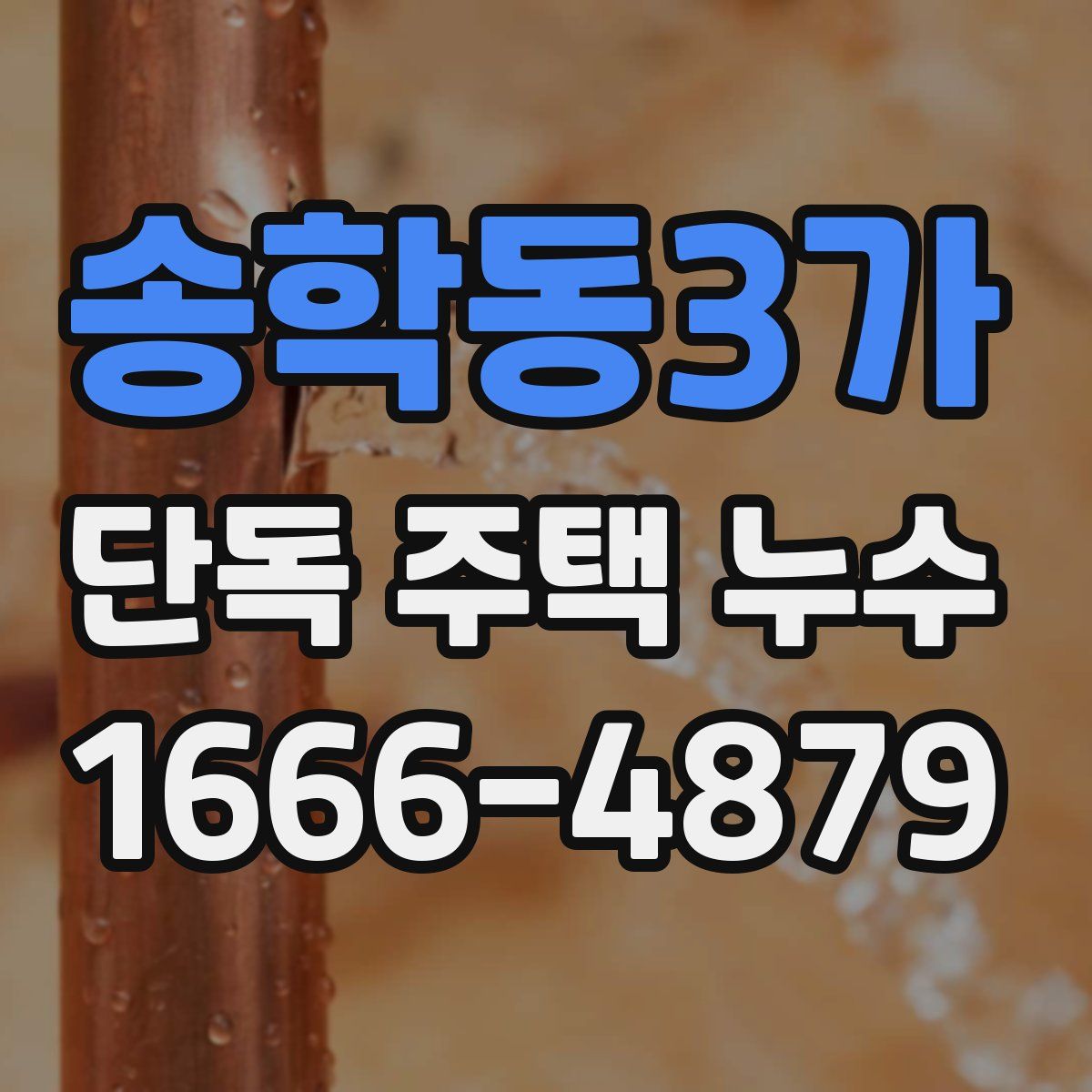 송학동3가 단독 주택 누수
