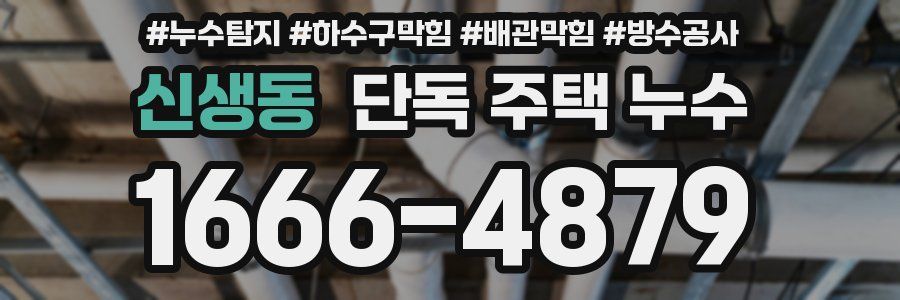 신생동 단독 주택 누수