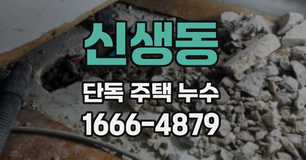 신생동 단독 주택 누수