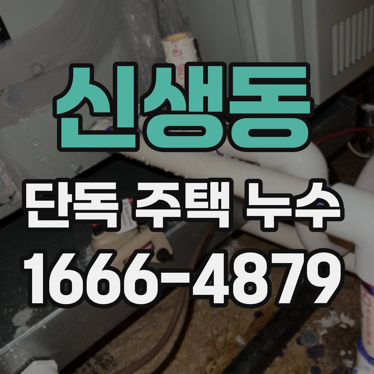 신생동 단독 주택 누수