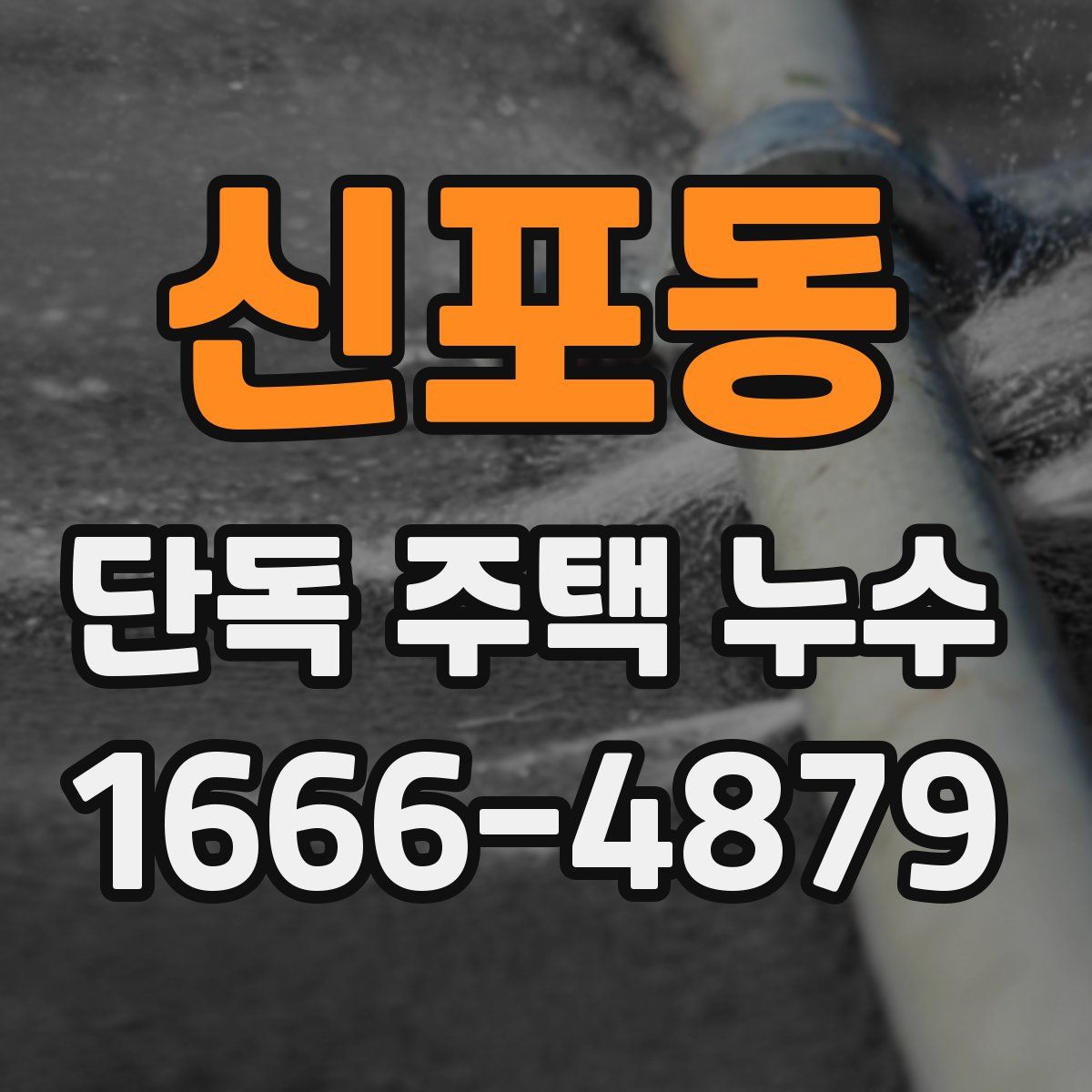 신포동 단독 주택 누수