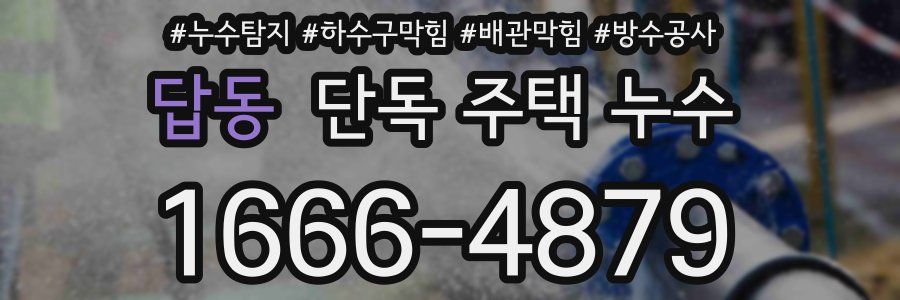답동 단독 주택 누수