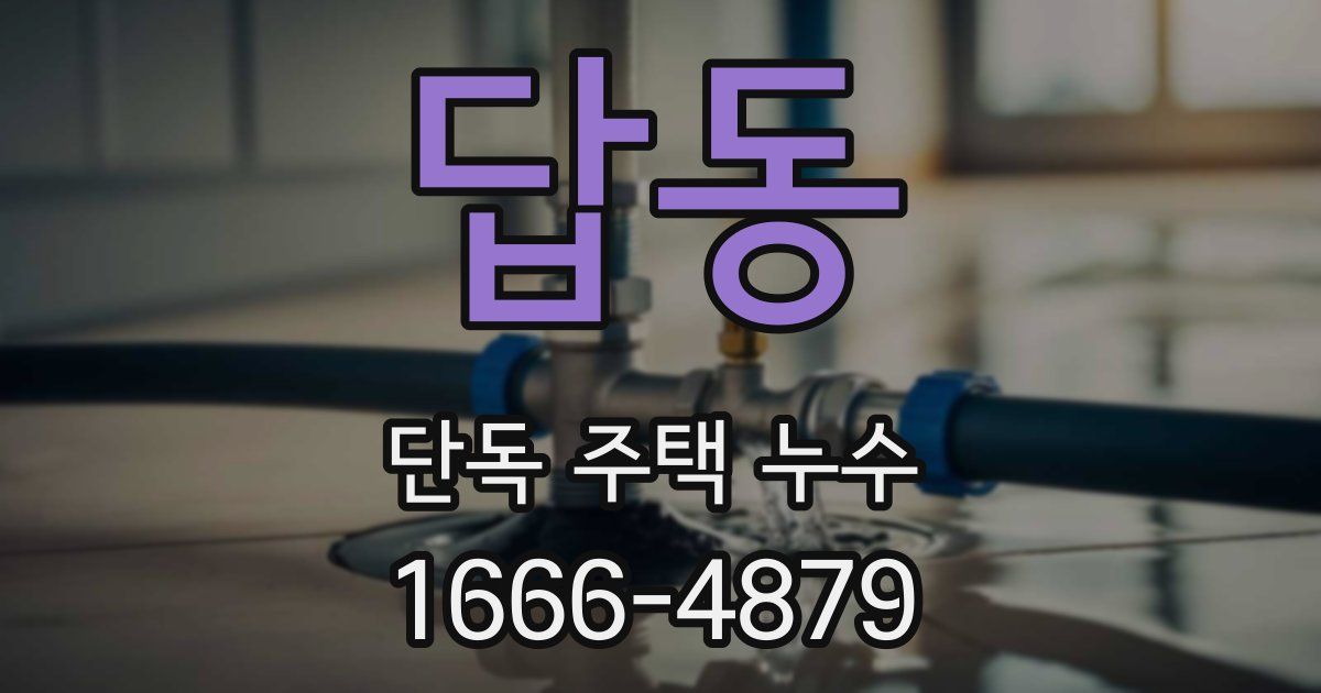 답동 단독 주택 누수