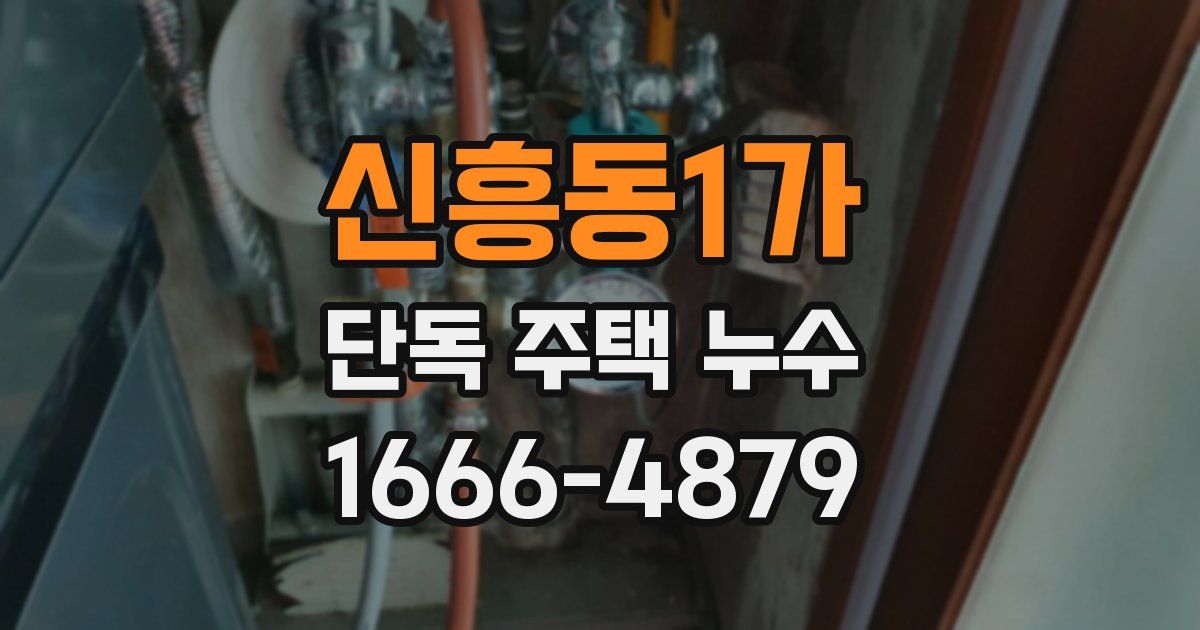 신흥동1가 단독 주택 누수