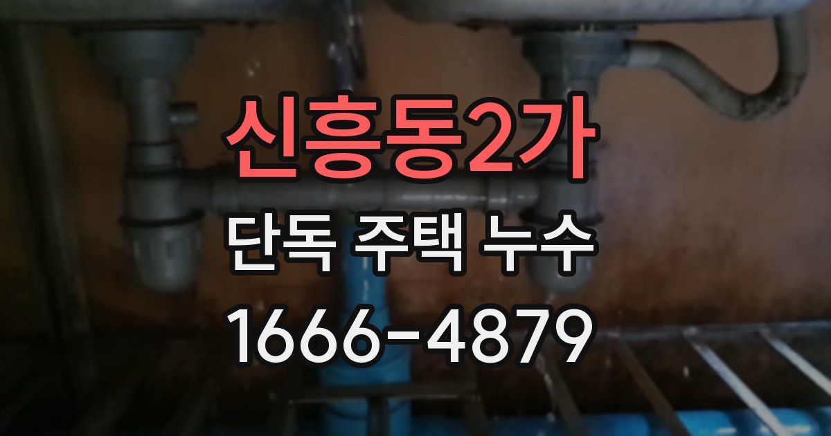 신흥동2가 단독 주택 누수