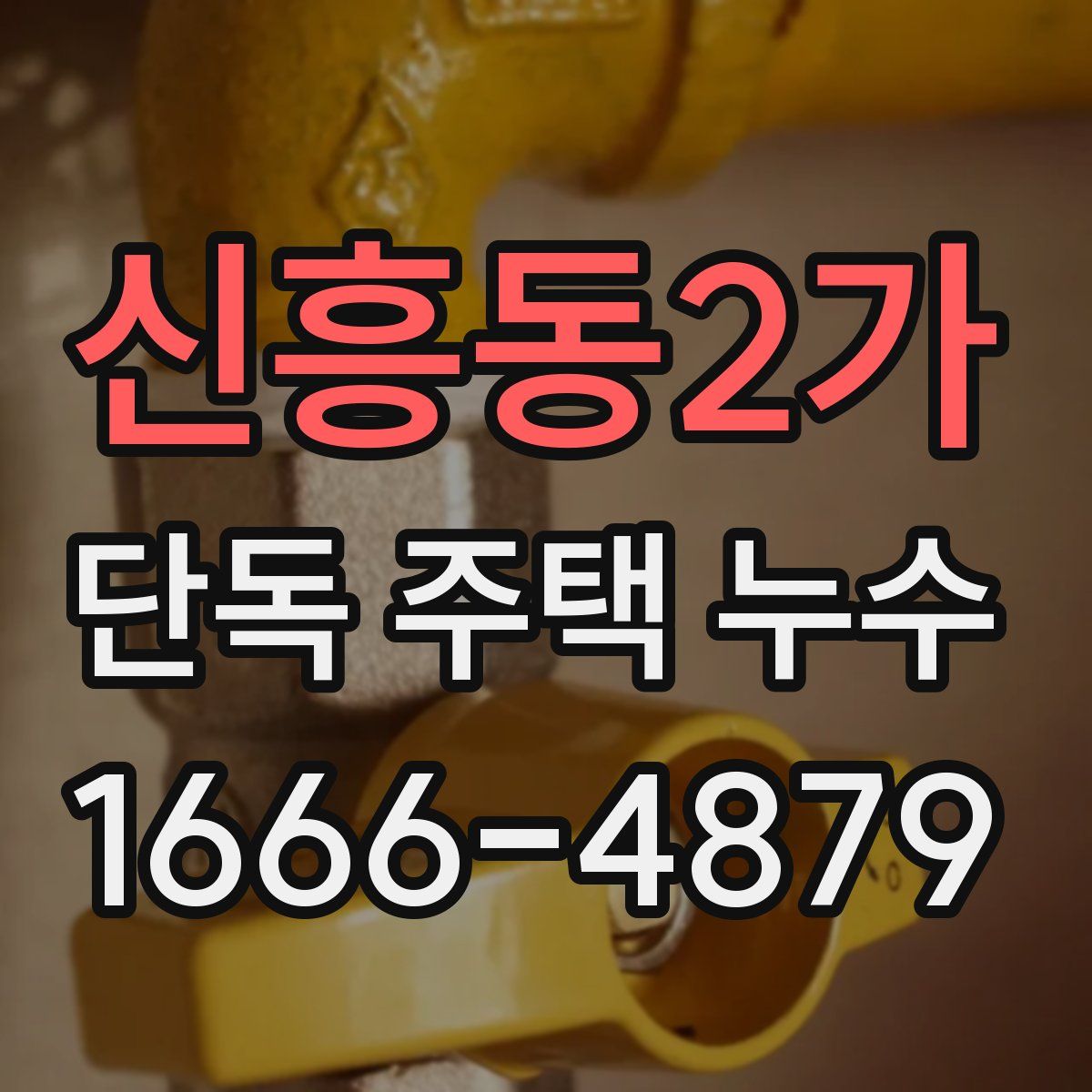 신흥동2가 단독 주택 누수