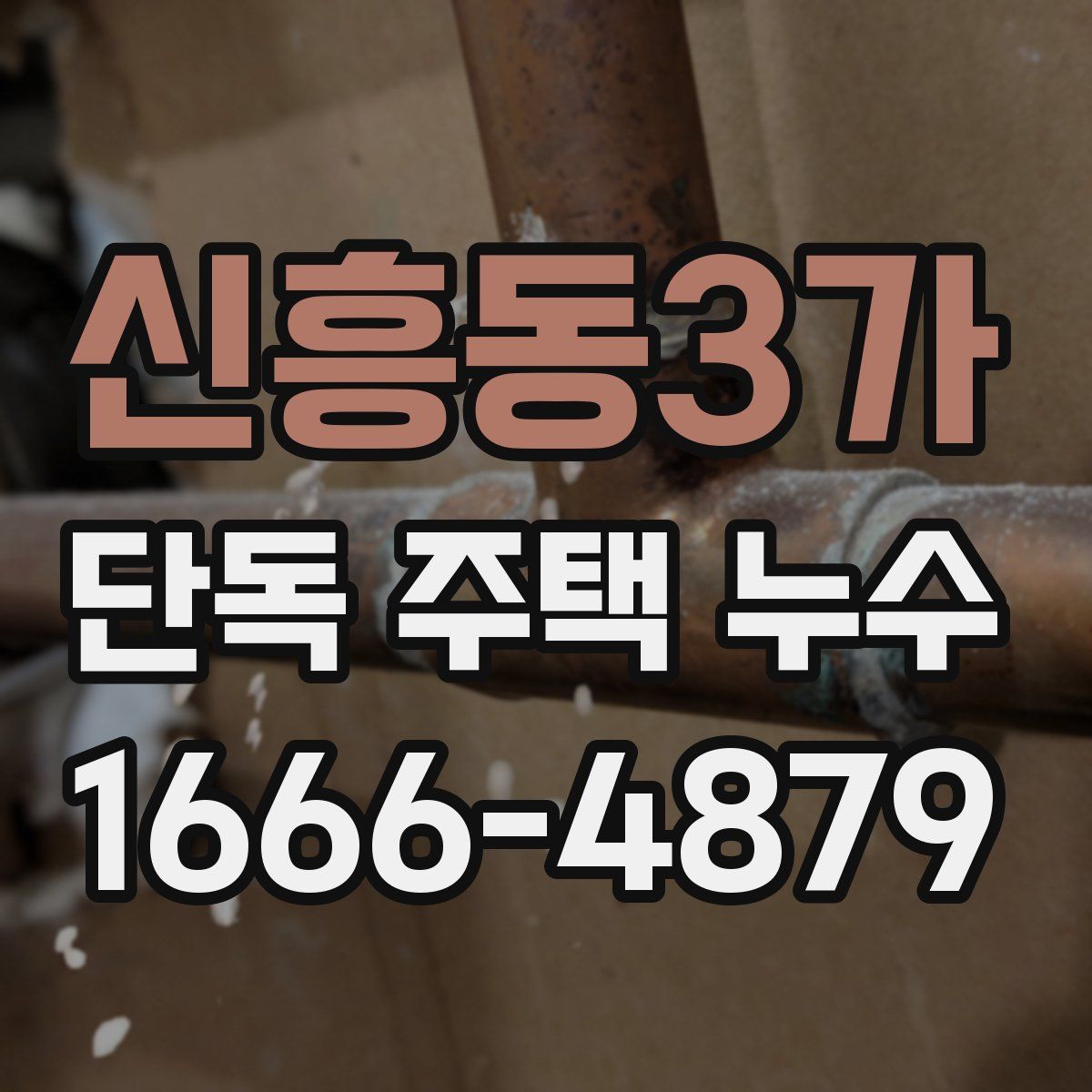 신흥동3가 단독 주택 누수