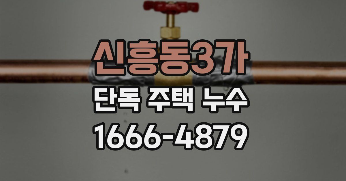 신흥동3가 단독 주택 누수
