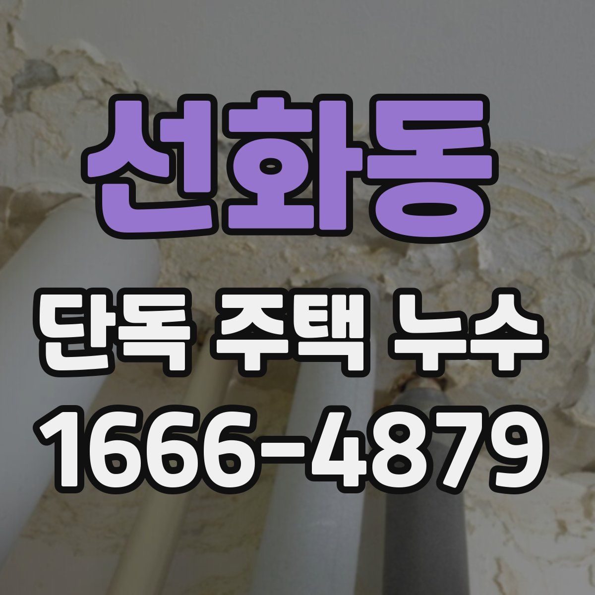 선화동 단독 주택 누수