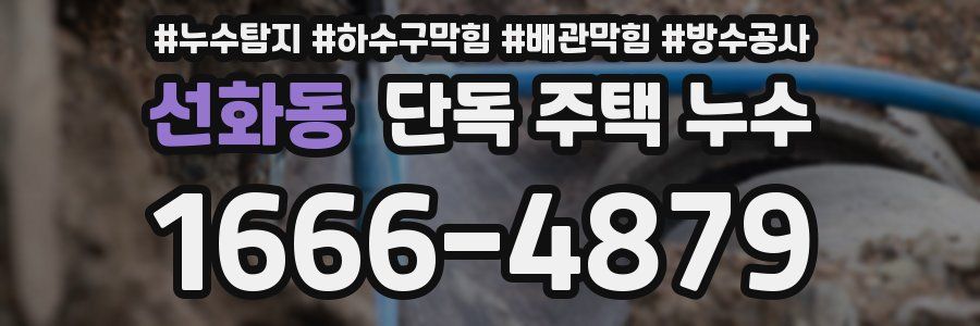 선화동 단독 주택 누수
