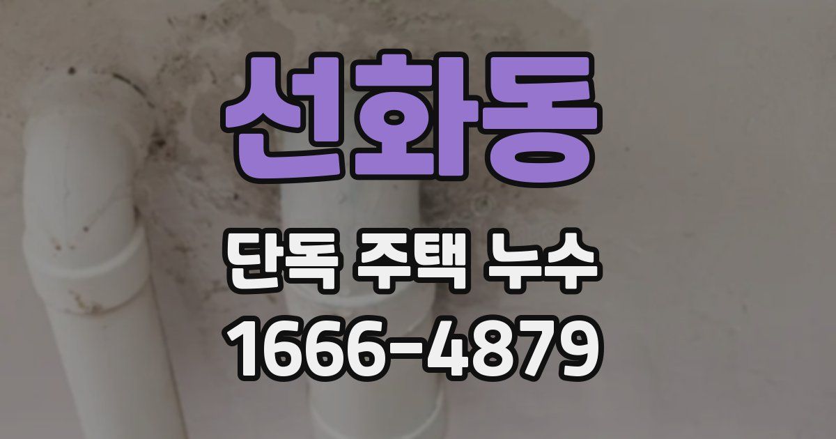 선화동 단독 주택 누수