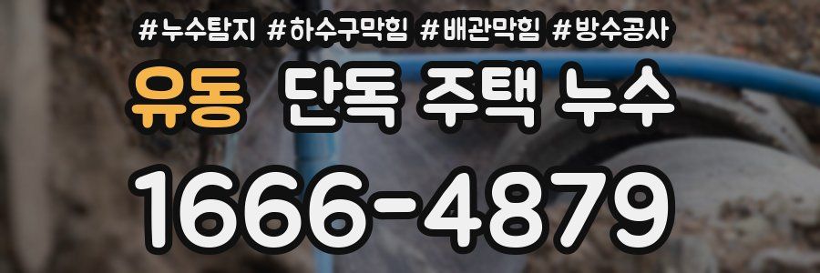 유동 단독 주택 누수