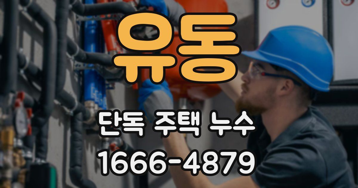 유동 단독 주택 누수