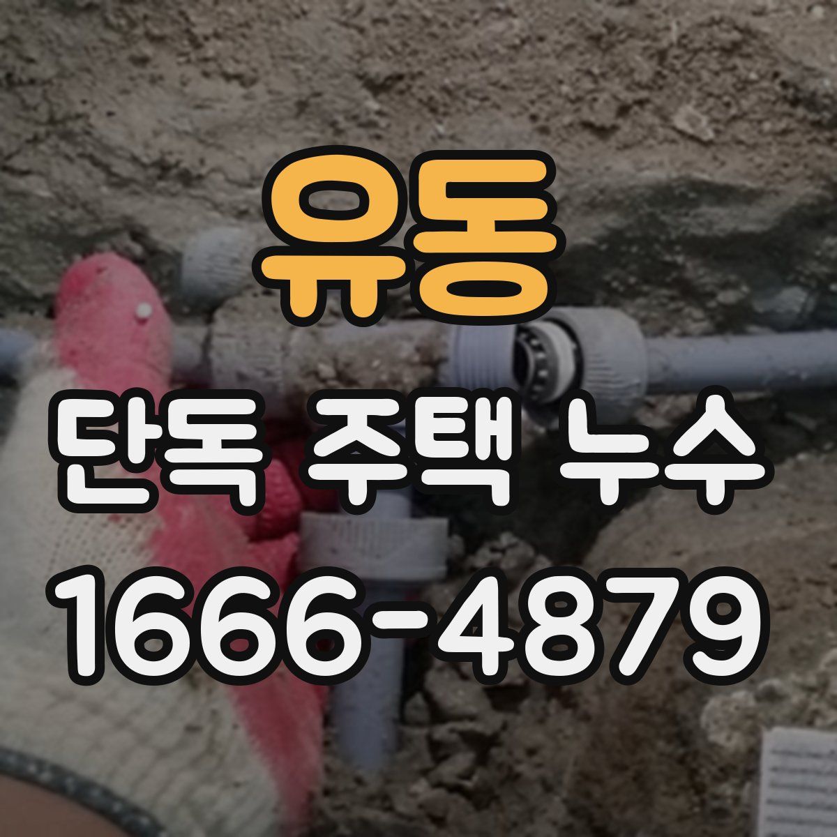 유동 단독 주택 누수