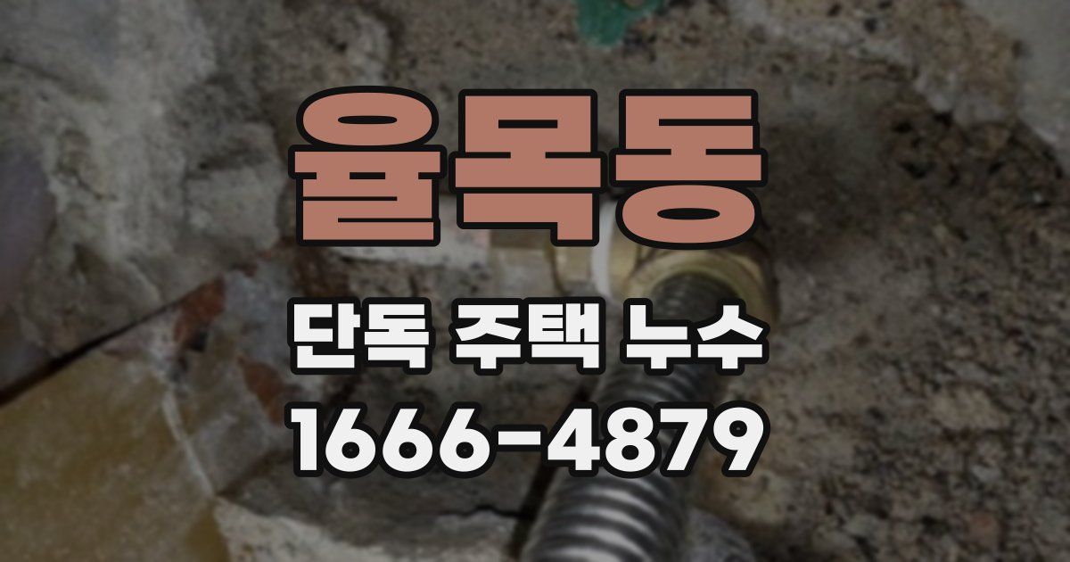 율목동 단독 주택 누수