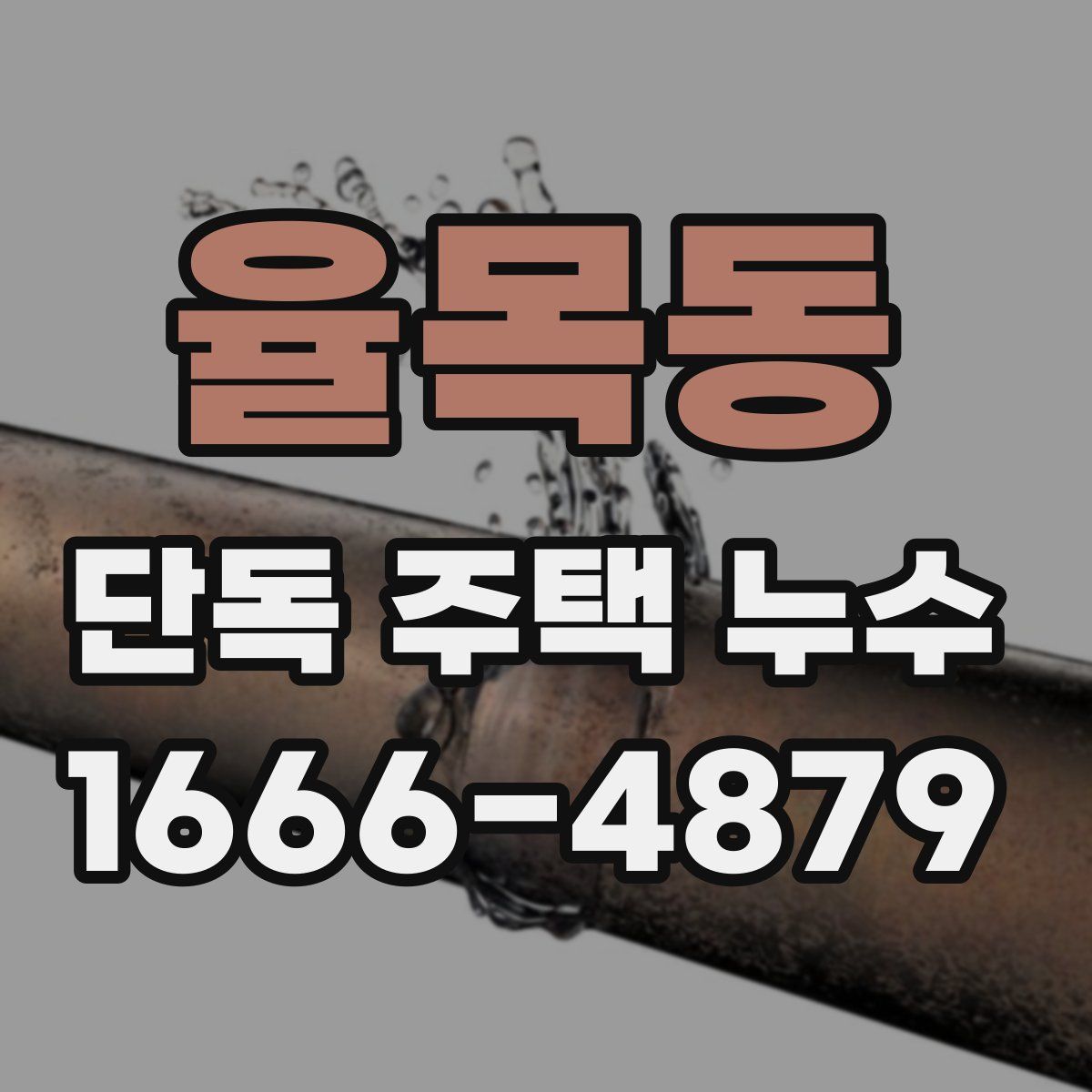 율목동 단독 주택 누수