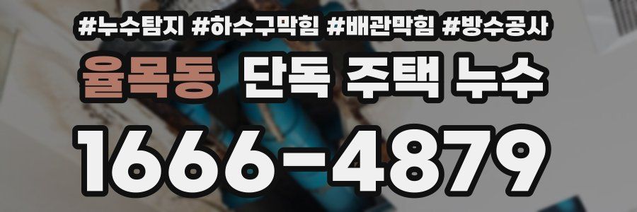 율목동 단독 주택 누수