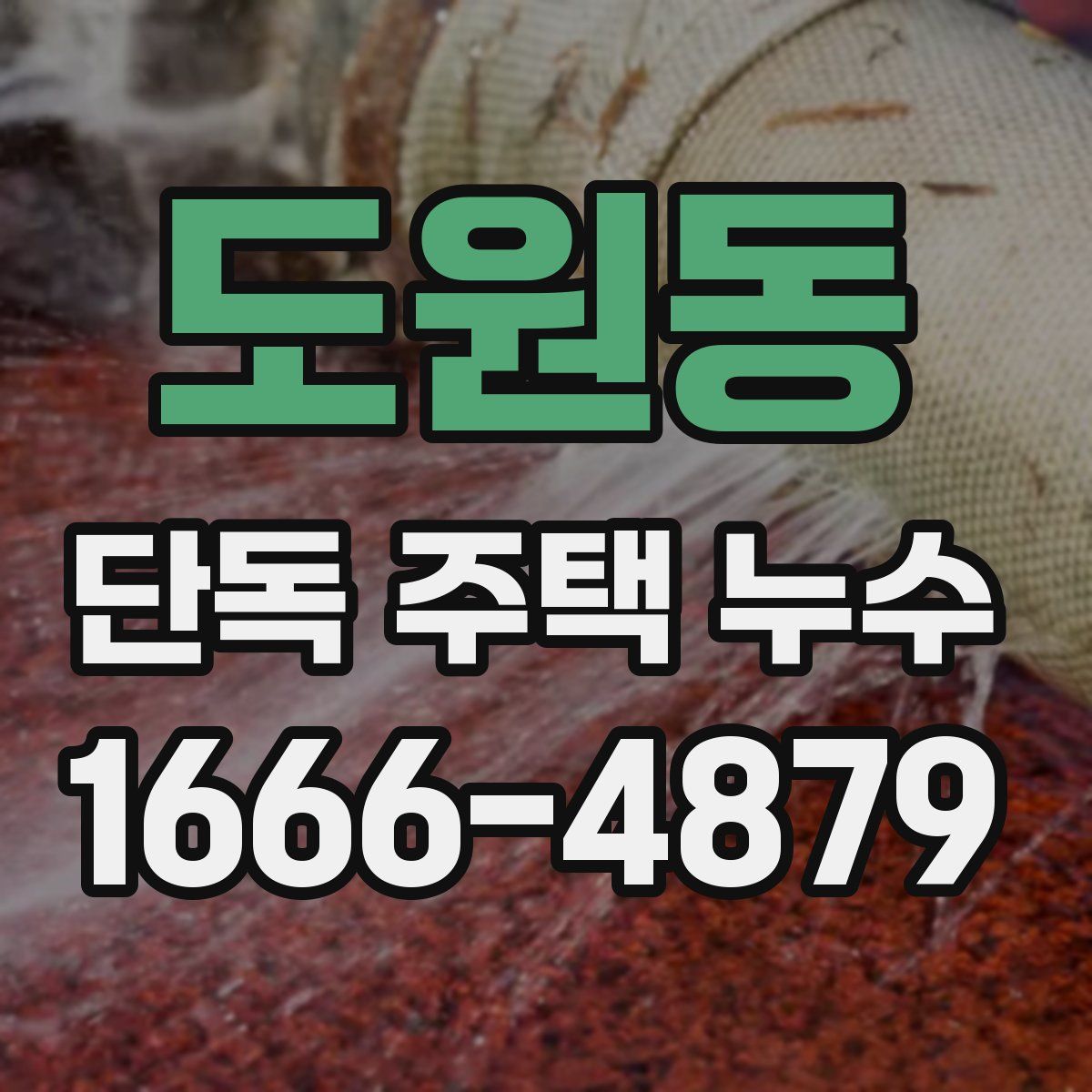 도원동 단독 주택 누수