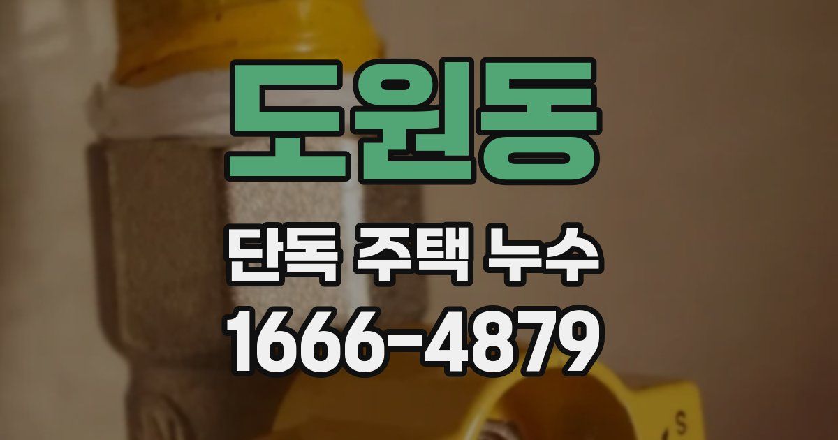 도원동 단독 주택 누수