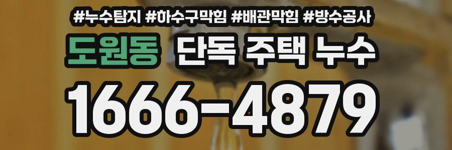 도원동 단독 주택 누수