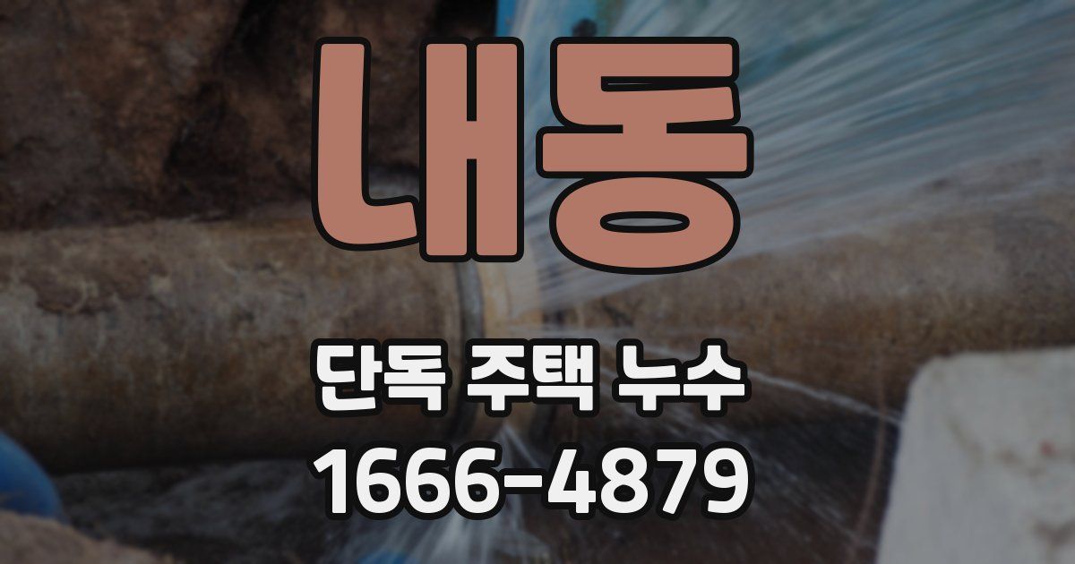 내동 단독 주택 누수