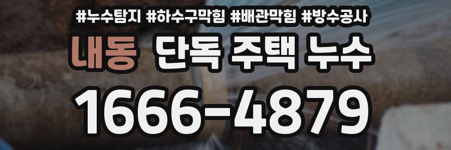 내동 단독 주택 누수