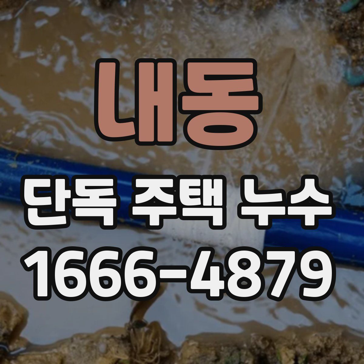 내동 단독 주택 누수
