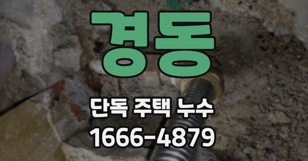 경동 단독 주택 누수