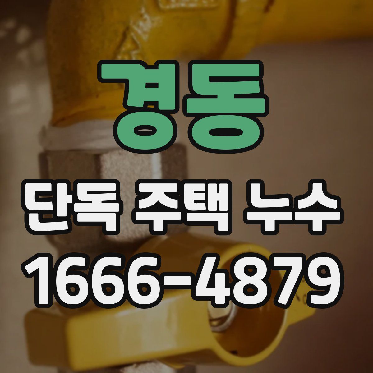 경동 단독 주택 누수