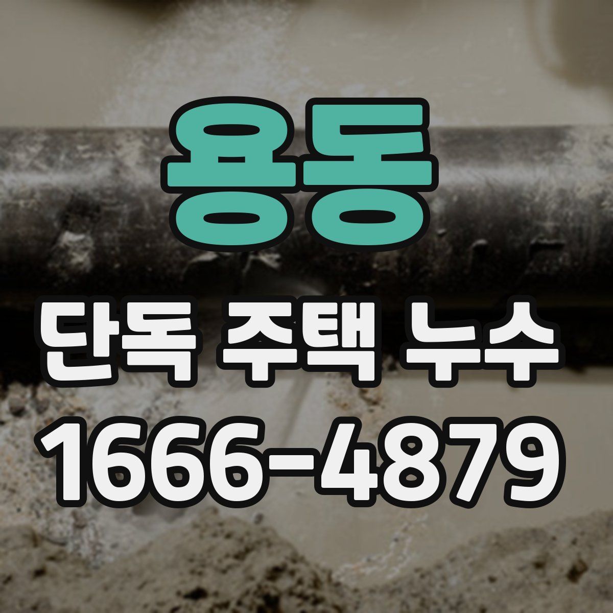 용동 단독 주택 누수