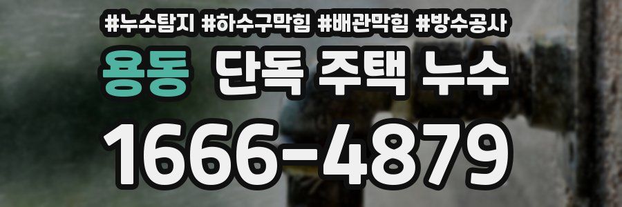 용동 단독 주택 누수
