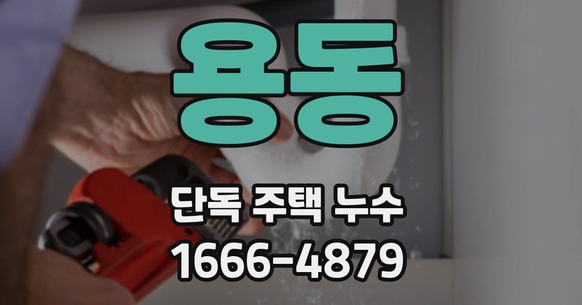 용동 단독 주택 누수