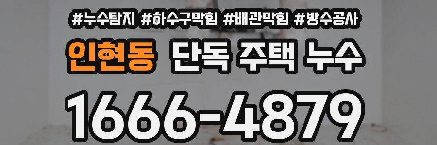 인현동 단독 주택 누수