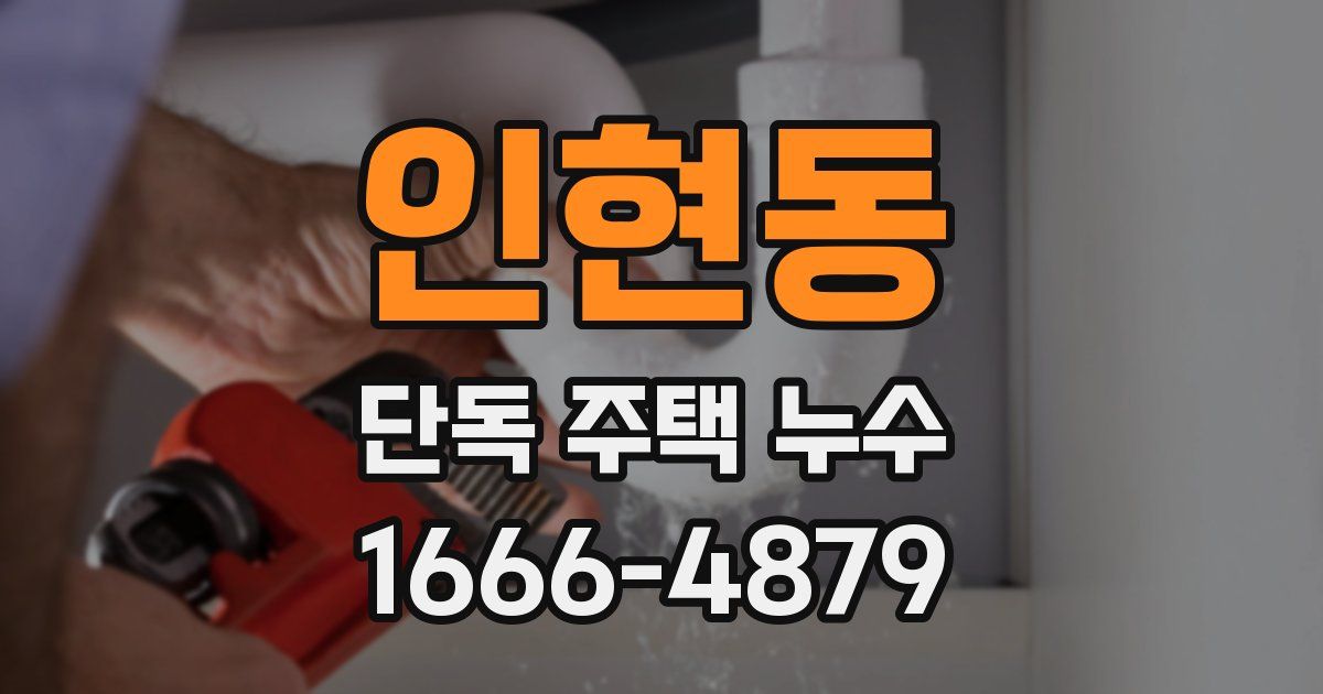 인현동 단독 주택 누수